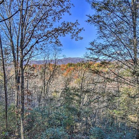 Natures Retreat With Hot Tub 7 Mi To Bryson City Whittier Exterior photo